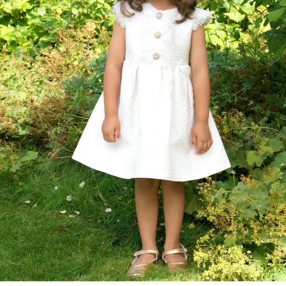 DAISY DAMASK RUFFLE FRONT DRESS - Picture 3 of 3